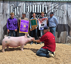 Grand champion gilt 
2026 Jay County-IN 
